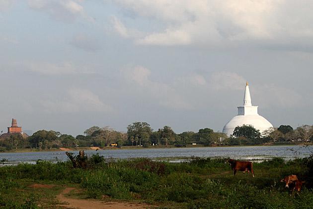 Hotel Flamingo Anuradhapura Luaran gambar