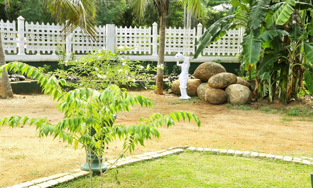 Hotel Flamingo Anuradhapura Luaran gambar